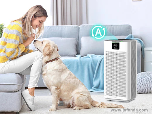 Breathe Easy in the Face of Wildfire Smoke: Protect Your Health with Air Purifiers! - breathe easy air purifier