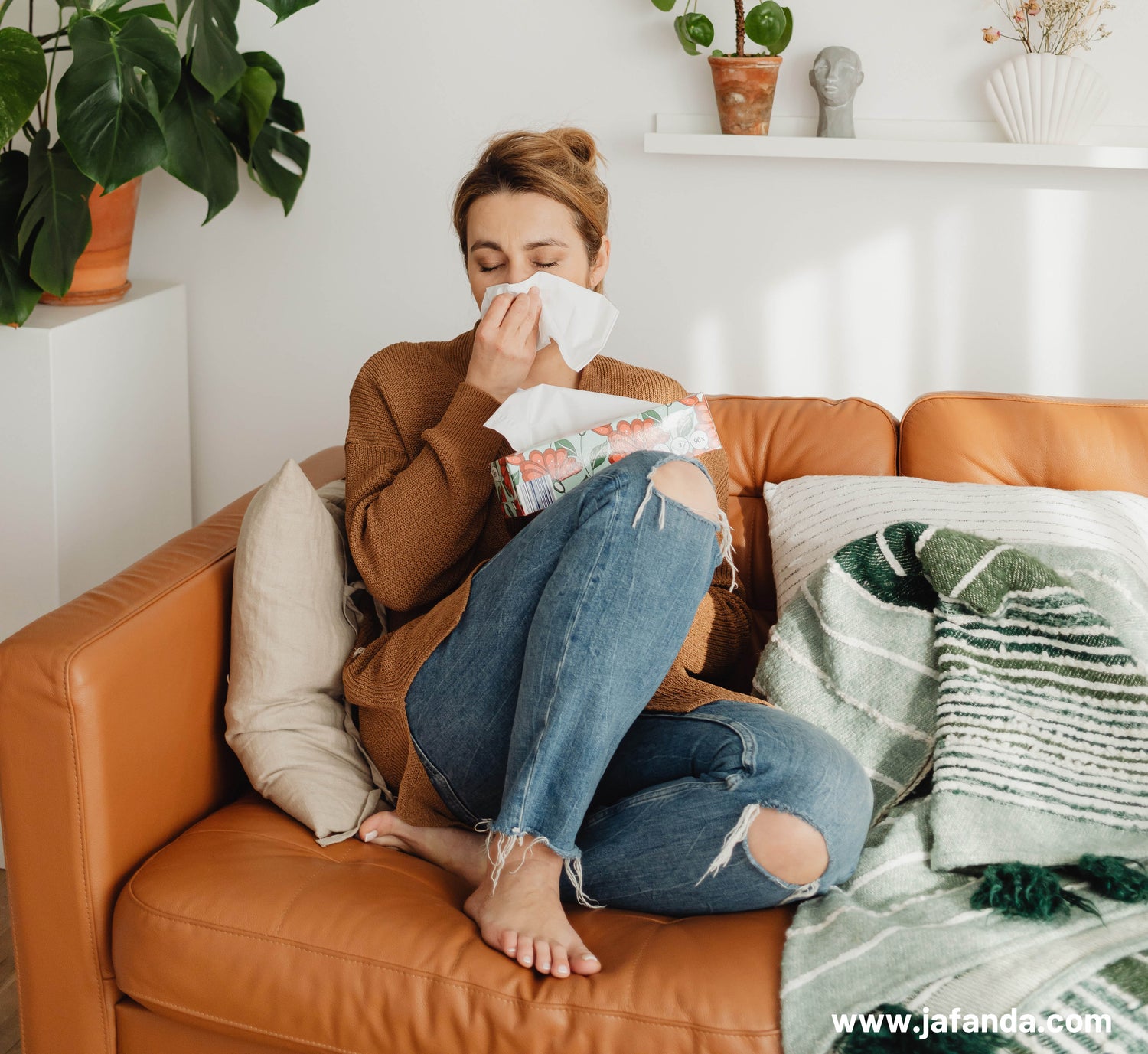 How Jafanda Air Purifiers Could Transform Your Family's Health This Flu Season