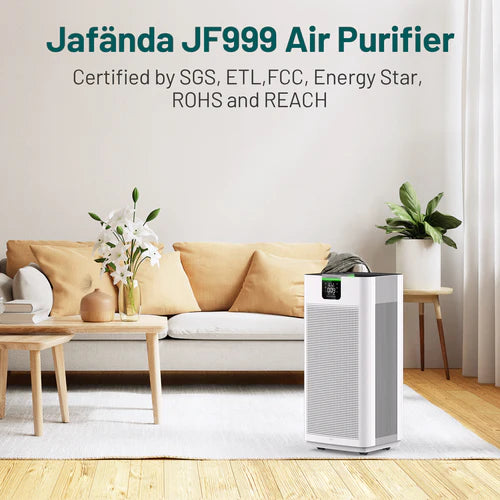 Breathe Easy Despite the Smoke: Choosing the Right Air Purifier for Forest Fire Season