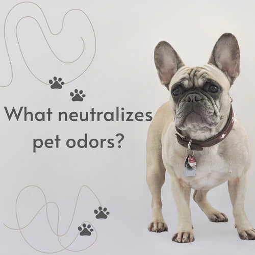 What neutralizing pet odors? - Jafanda air purifier